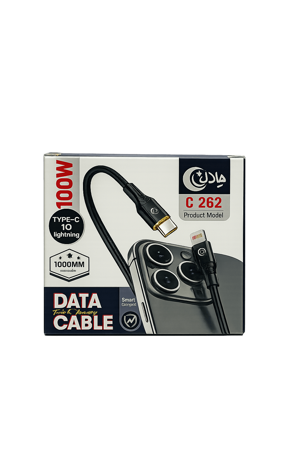 Type C to IOS 100W - C262