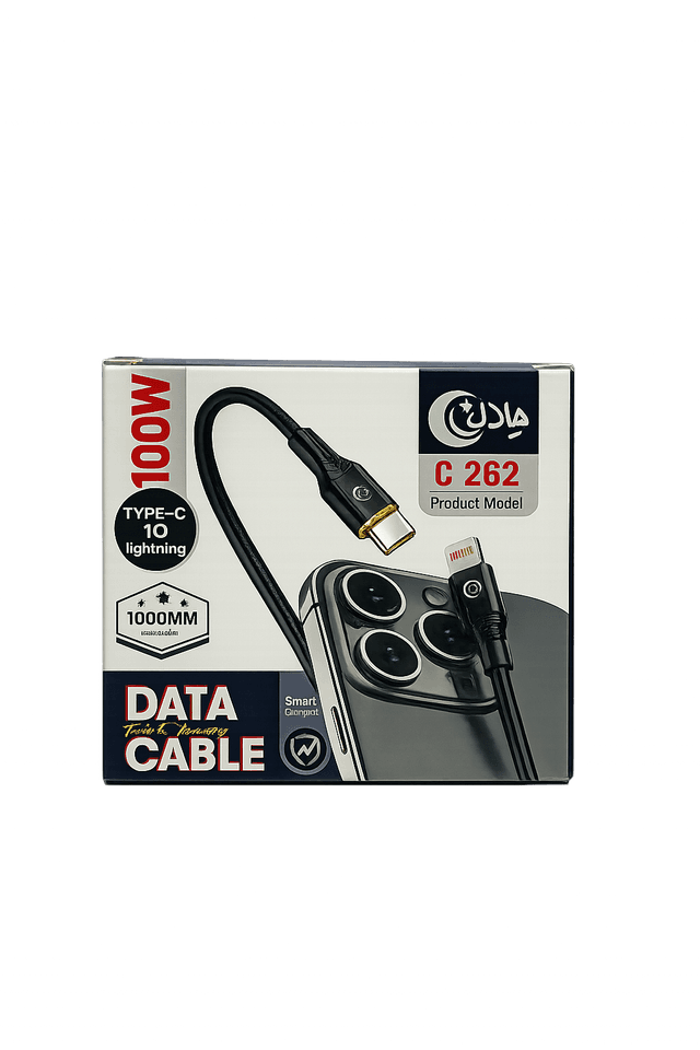 Type C to IOS 100W - C262